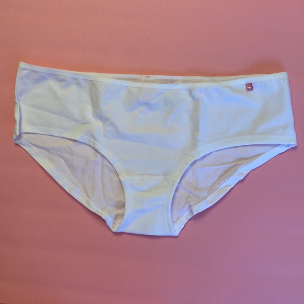RARE Pink 2009 vintage extra low rise hipster panties white & tiny pink dog tag